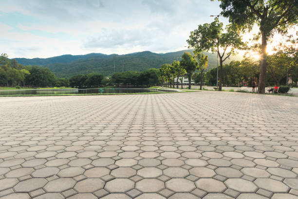 Best Best Driveway Pavers  in Springfield, MO