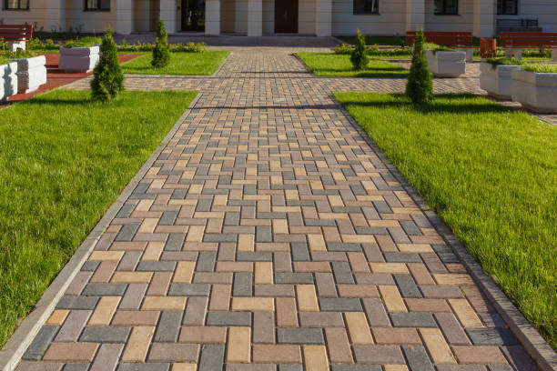 Best Local Driveway Pavers  in Springfield, MO